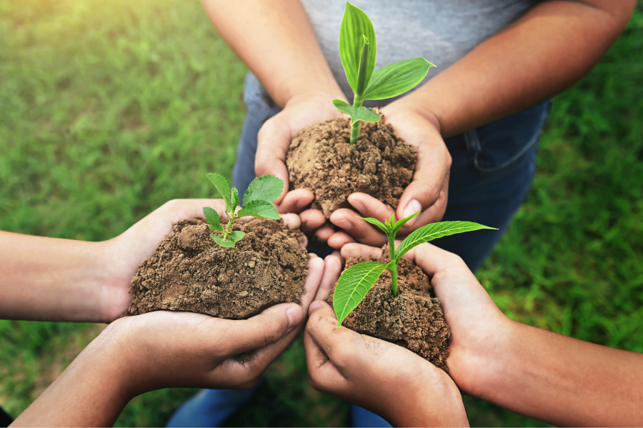 AdobeStock_336613753-sustainable-LR